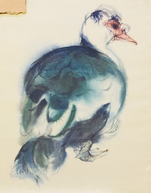 Klaus Meyer-Gasters - Vintage watercolor print Duck - With Frame