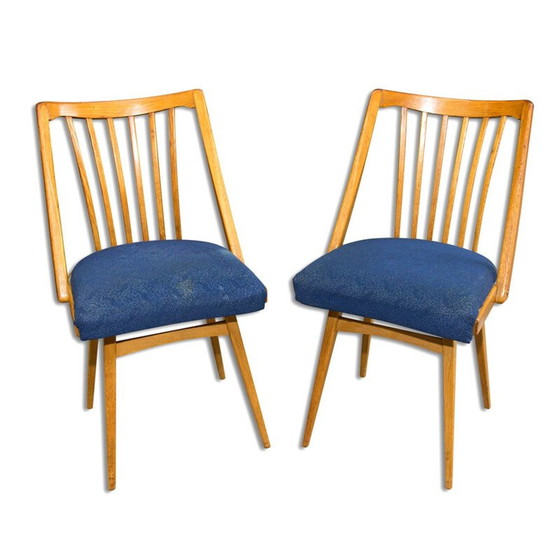 Image 1 of Pair of vintage bent beechwood chairs by Antonín Šuman, Czechoslovakia 1960