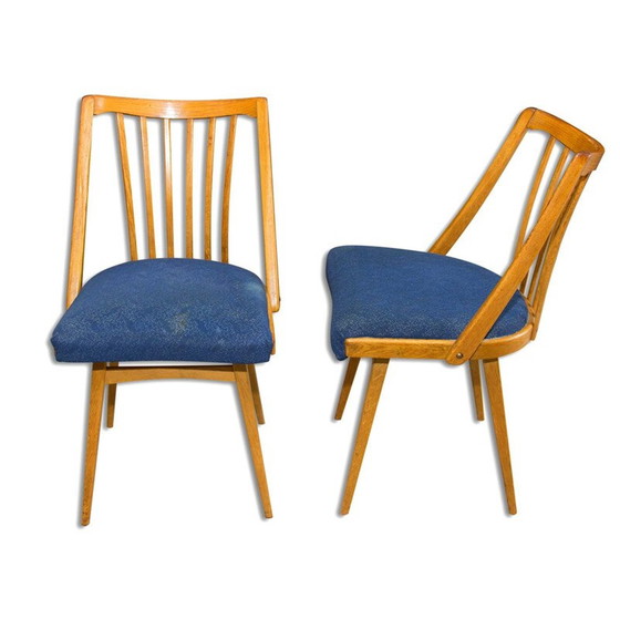 Image 1 of Pair of vintage bent beechwood chairs by Antonín Šuman, Czechoslovakia 1960