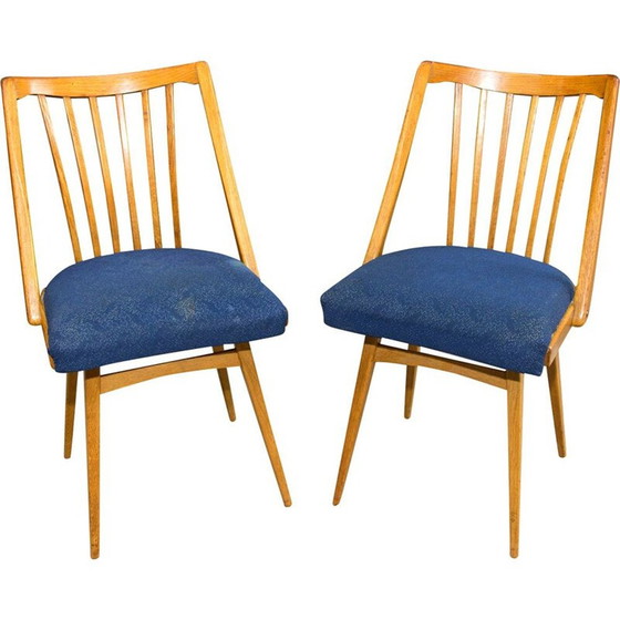 Image 1 of Pair of vintage bent beechwood chairs by Antonín Šuman, Czechoslovakia 1960