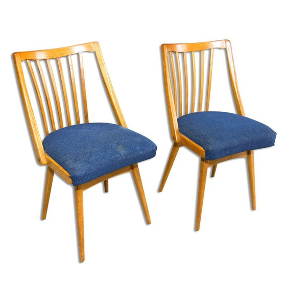 Image 1 of Pair of vintage bent beechwood chairs by Antonín Šuman, Czechoslovakia 1960