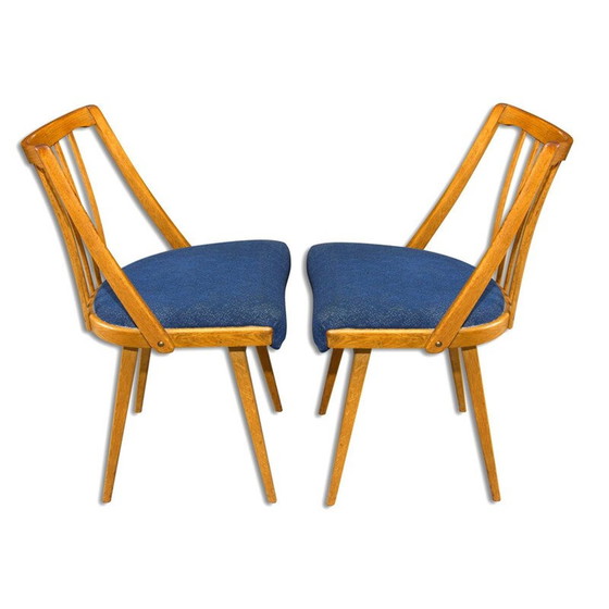 Image 1 of Pair of vintage bent beechwood chairs by Antonín Šuman, Czechoslovakia 1960