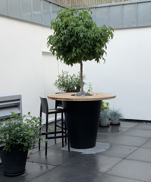 Mega Flower Box Table With 2 Pedrali Stools.