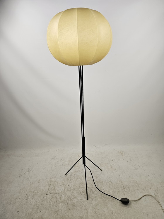 Image 1 of Cocoon Floor Lamp Tripod