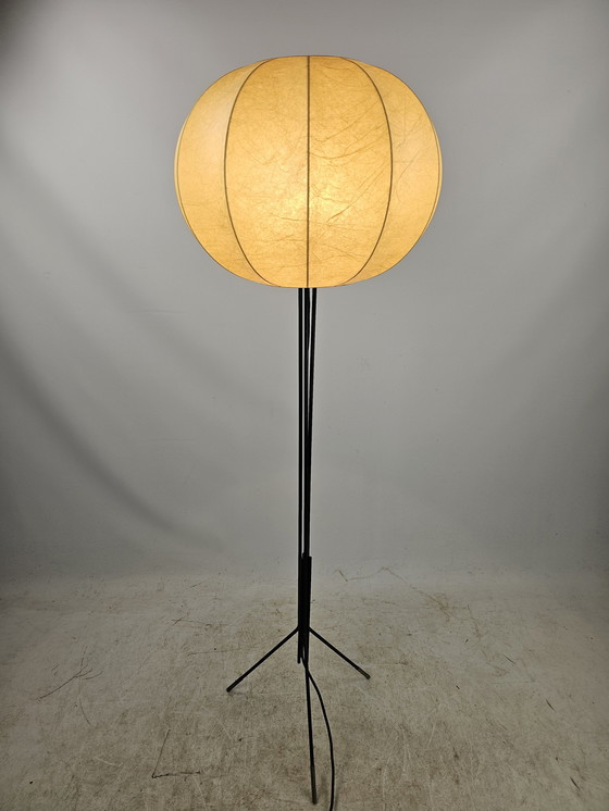 Image 1 of Cocoon Floor Lamp Tripod