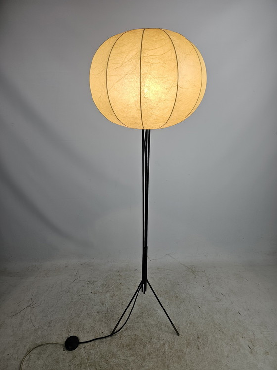 Image 1 of Cocoon Floor Lamp Tripod