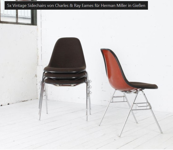 Image 1 of 5x Herman Miller Vintage Sidechairs