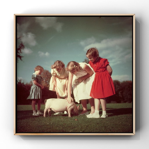 1X 3 Princesses And A Piglet, 1952 | Paul Huf