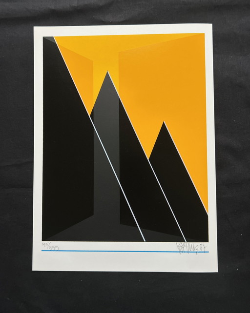 Screen print Wout Van Der Vet