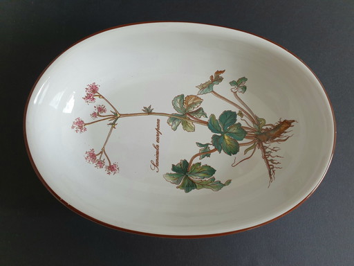 Bowl Oval Botanica Villeroy En Boch