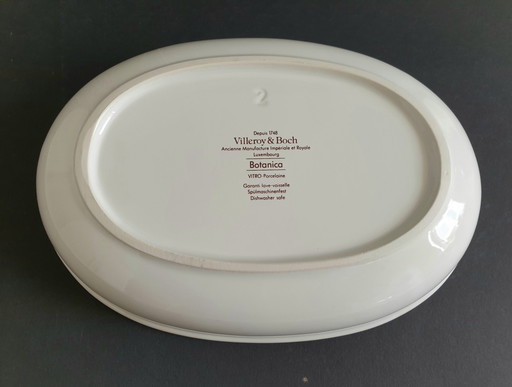 Bowl Oval Botanica Villeroy En Boch