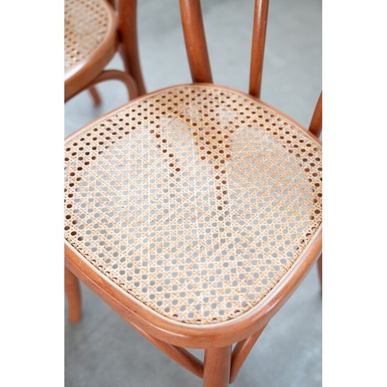 Image 1 of Set of 34 vintage chairs in bent beech and straw seats, 2000