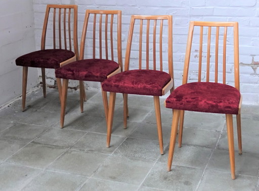 4x Ton Antonin Suman Tatra chairs