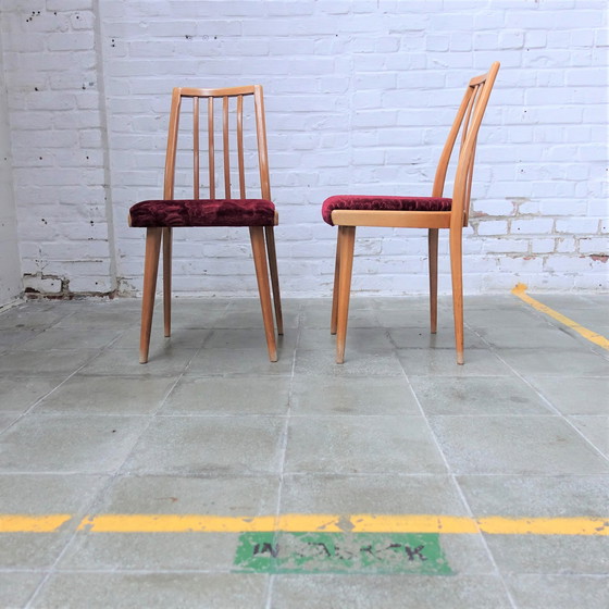 Image 1 of 4x Ton Antonin Suman Tatra chairs