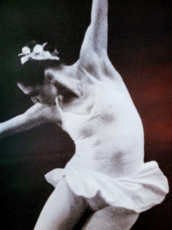 Image 1 of L'affiche du Ballet national 1993