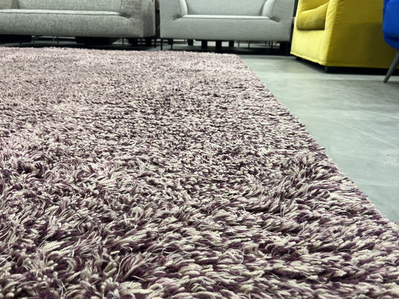 Image 1 of Brink and Campman Rug 260x360