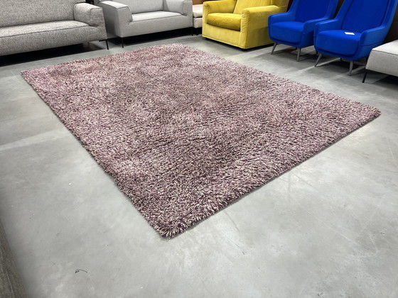 Image 1 of Brink and Campman Rug 260x360