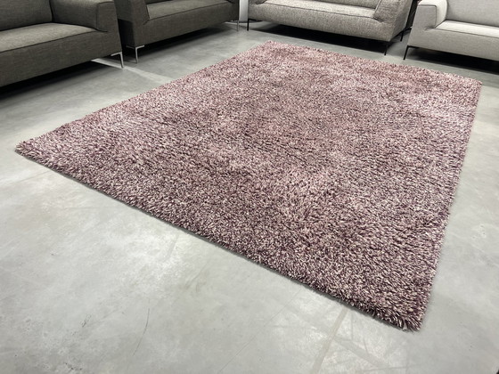 Image 1 of Brink and Campman Rug 260x360