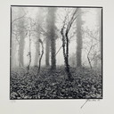 Ralph Janowski - tirage photo sans titre