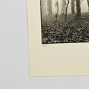 Ralph Janowski - tirage photo sans titre