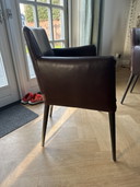 6x Label van den Berg chairs
