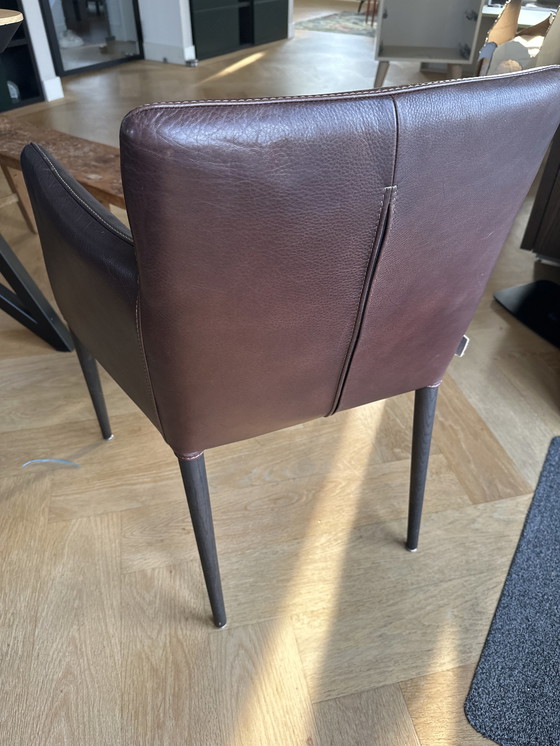 Image 1 of 6x Label van den Berg chairs