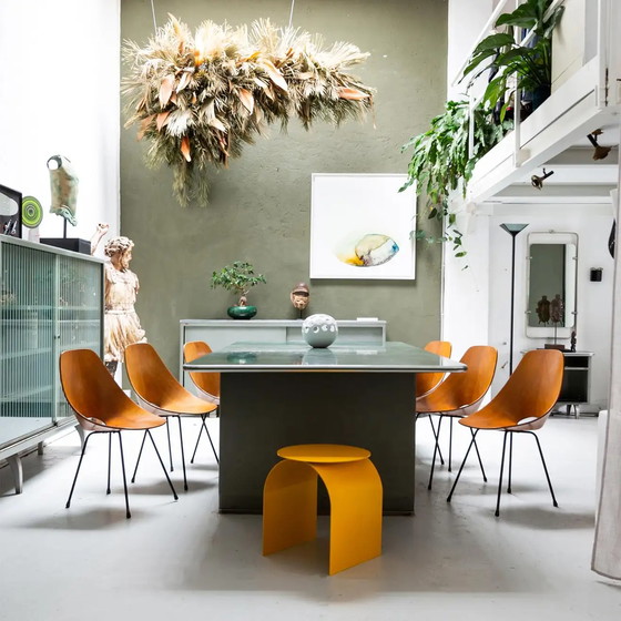 Image 1 of 6x chaises Tagliabue Medea en bois par Vittorio Nobili, set