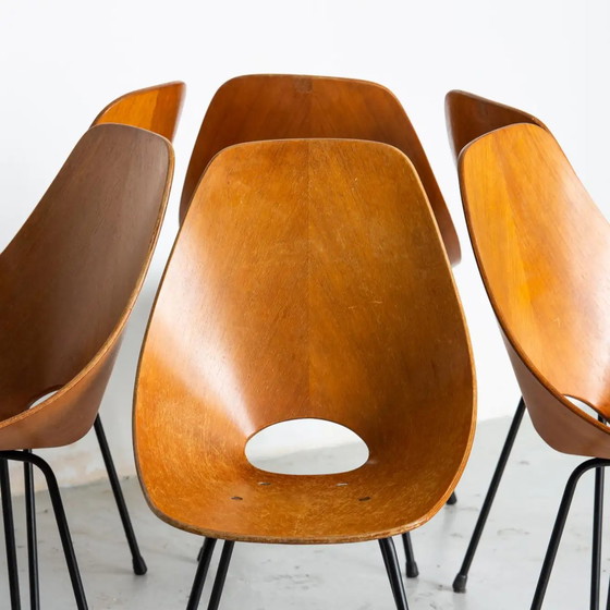 Image 1 of 6x chaises Tagliabue Medea en bois par Vittorio Nobili, set