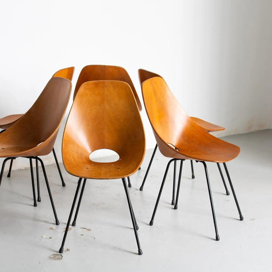 Image 1 of 6x chaises Tagliabue Medea en bois par Vittorio Nobili, set