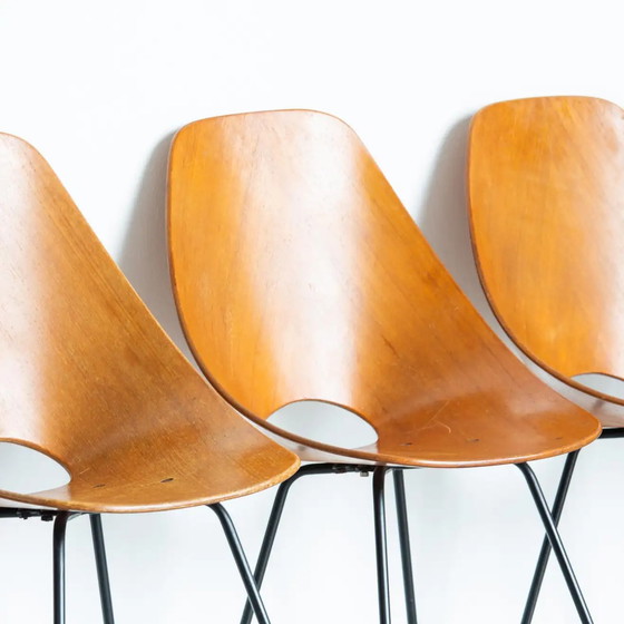 Image 1 of 6x chaises Tagliabue Medea en bois par Vittorio Nobili, set