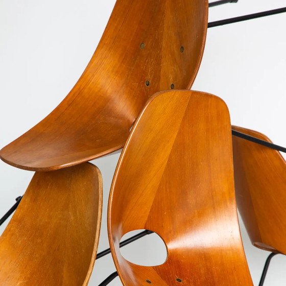 Image 1 of 6x chaises Tagliabue Medea en bois par Vittorio Nobili, set