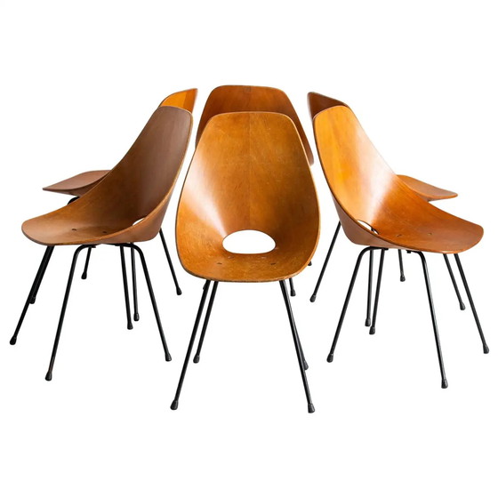 Image 1 of 6x chaises Tagliabue Medea en bois par Vittorio Nobili, set