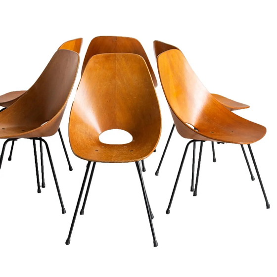 Image 1 of 6x chaises Tagliabue Medea en bois par Vittorio Nobili, set