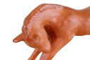Goebel foal