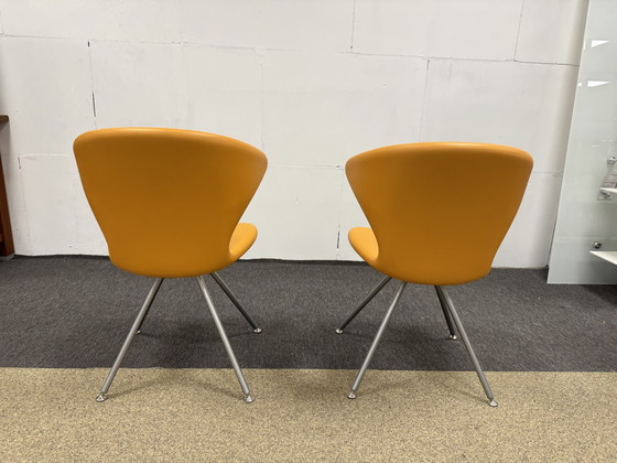 Image 1 of 2 chaises Tonon Concept Orange