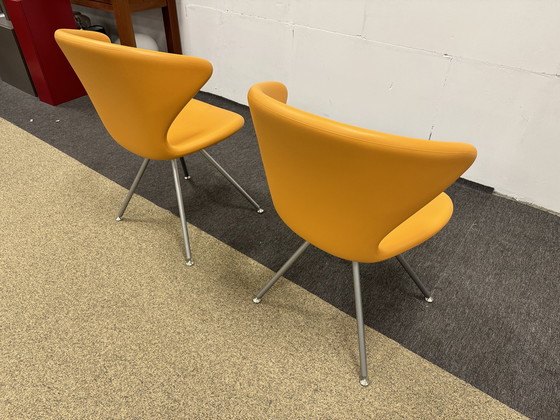 Image 1 of 2 chaises Tonon Concept Orange