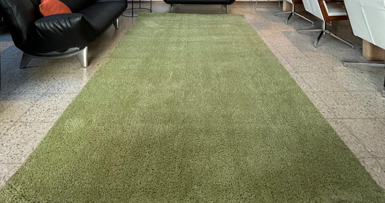 Image 1 of Brink & Campman Basalt carpet - green