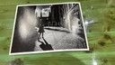 Annet de Graaf Swarovski - limited print 2/20 fotografie