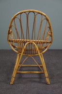 Rattan armchair with armrests, Dutch Design Style, 1950