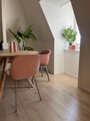 2x Muuto Fiber Side Chair