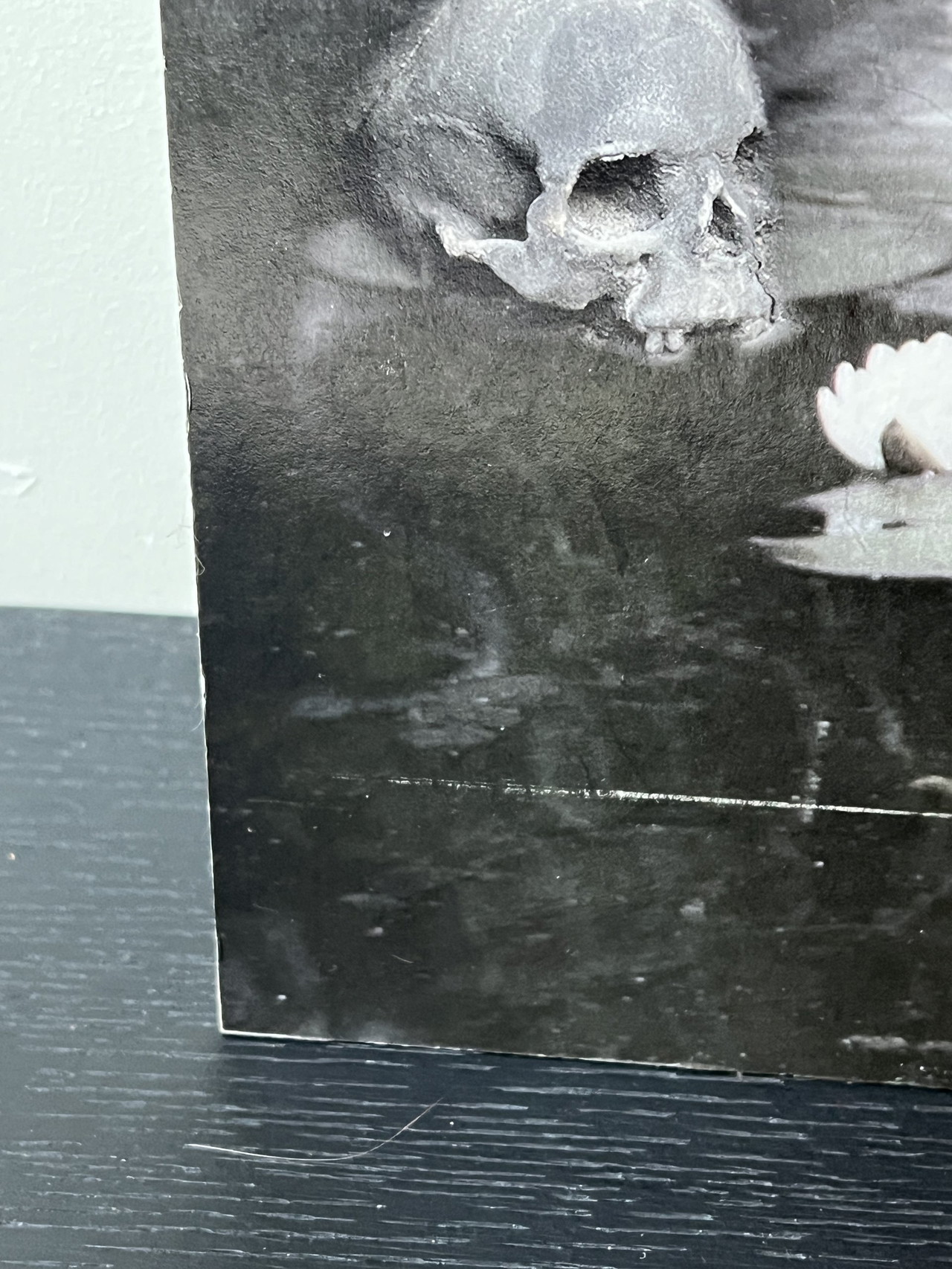 Marcin Owczarek - Lost Paradise | €1,150 | Whoppah