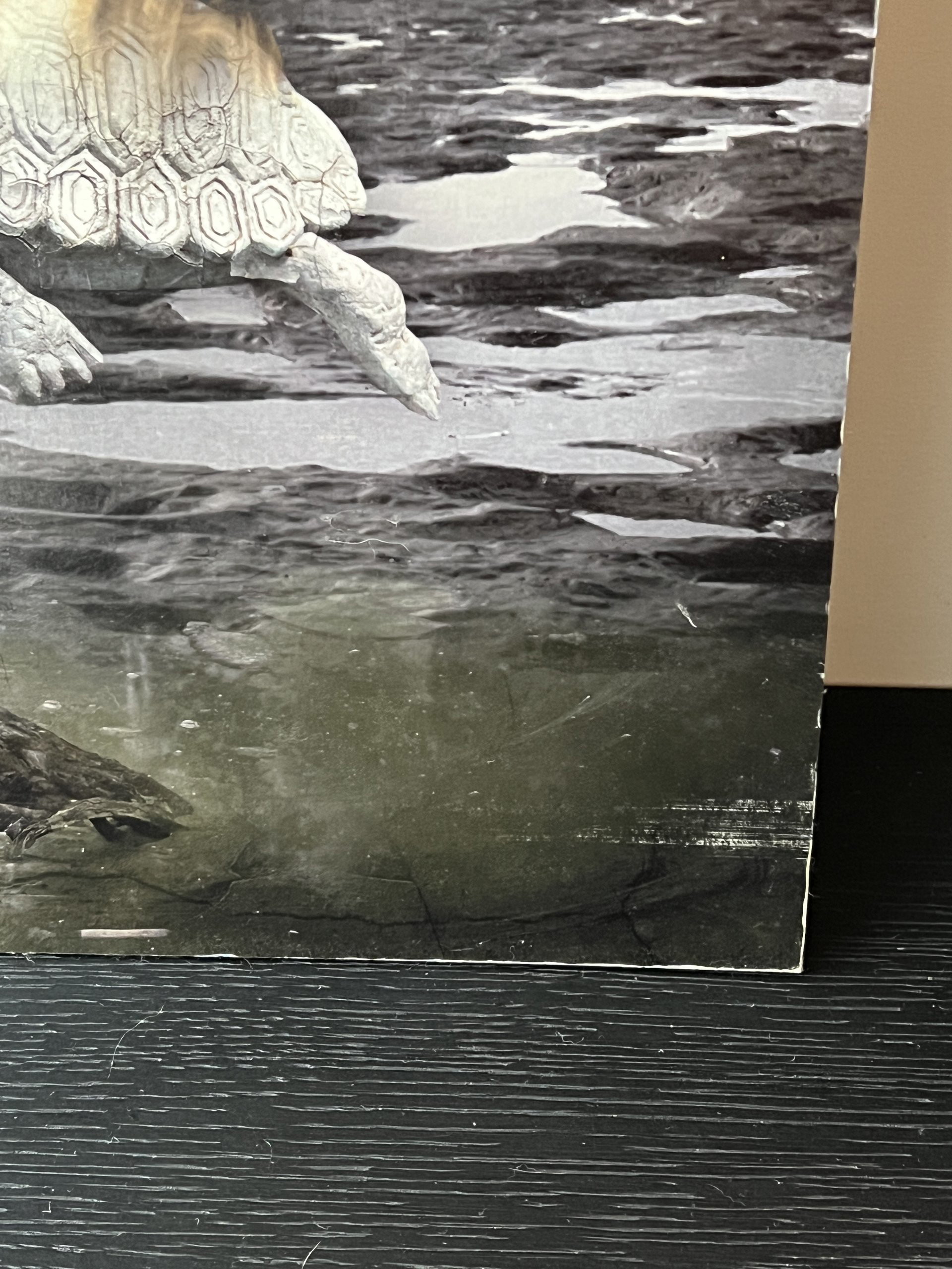 Marcin Owczarek - Paradise Lost 失楽園