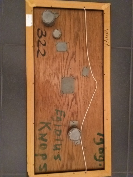 Image 1 of Egidius Knops Artwork