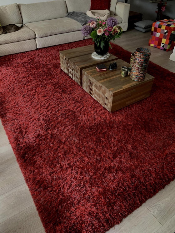 Image 1 of Tapis Bravura