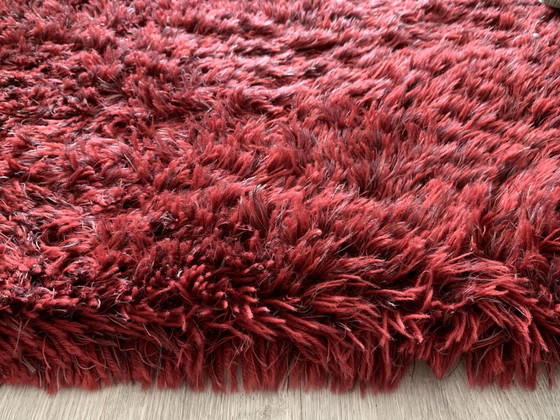 Image 1 of Tapis Bravura