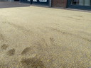 Desso carpet 275x375