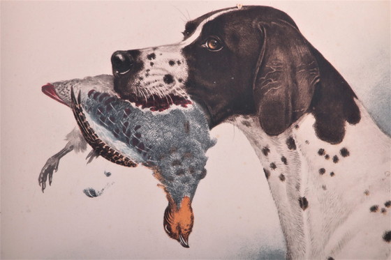 Image 1 of French hand-drawn hunting dog with partridge, Boris Riab 1898-1975