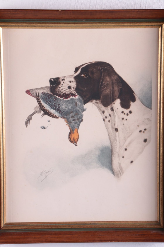 Image 1 of French hand-drawn hunting dog with partridge, Boris Riab 1898-1975