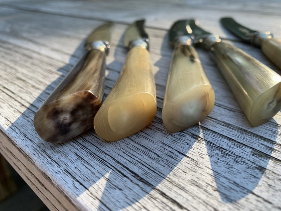 Image 1 of Couteau de table Francis Newton Sheffield vintage staghorn