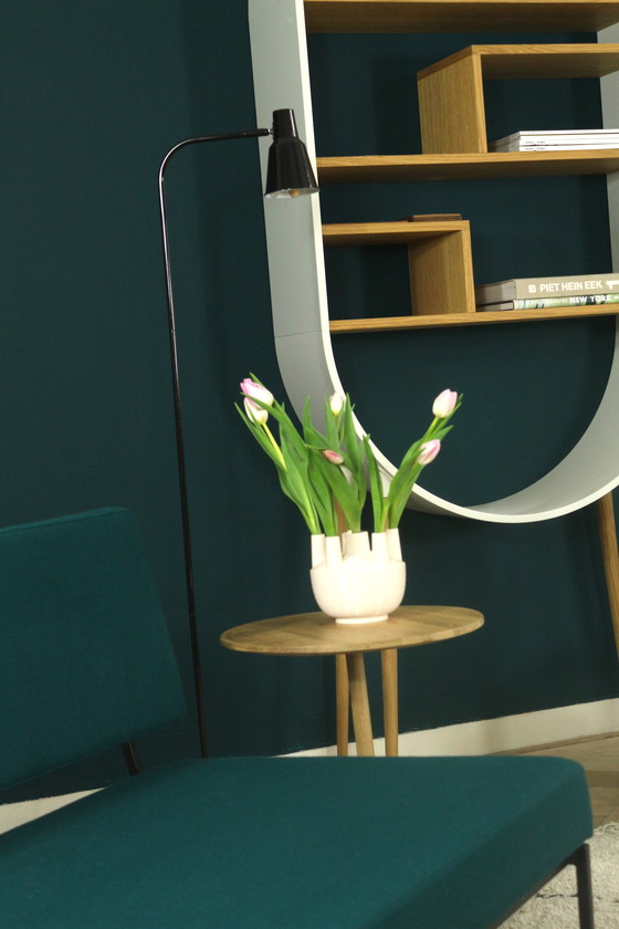 Image 1 of Ontwerper Pien ten Napel - 'The Oval' kast